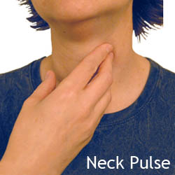 neck_pulse